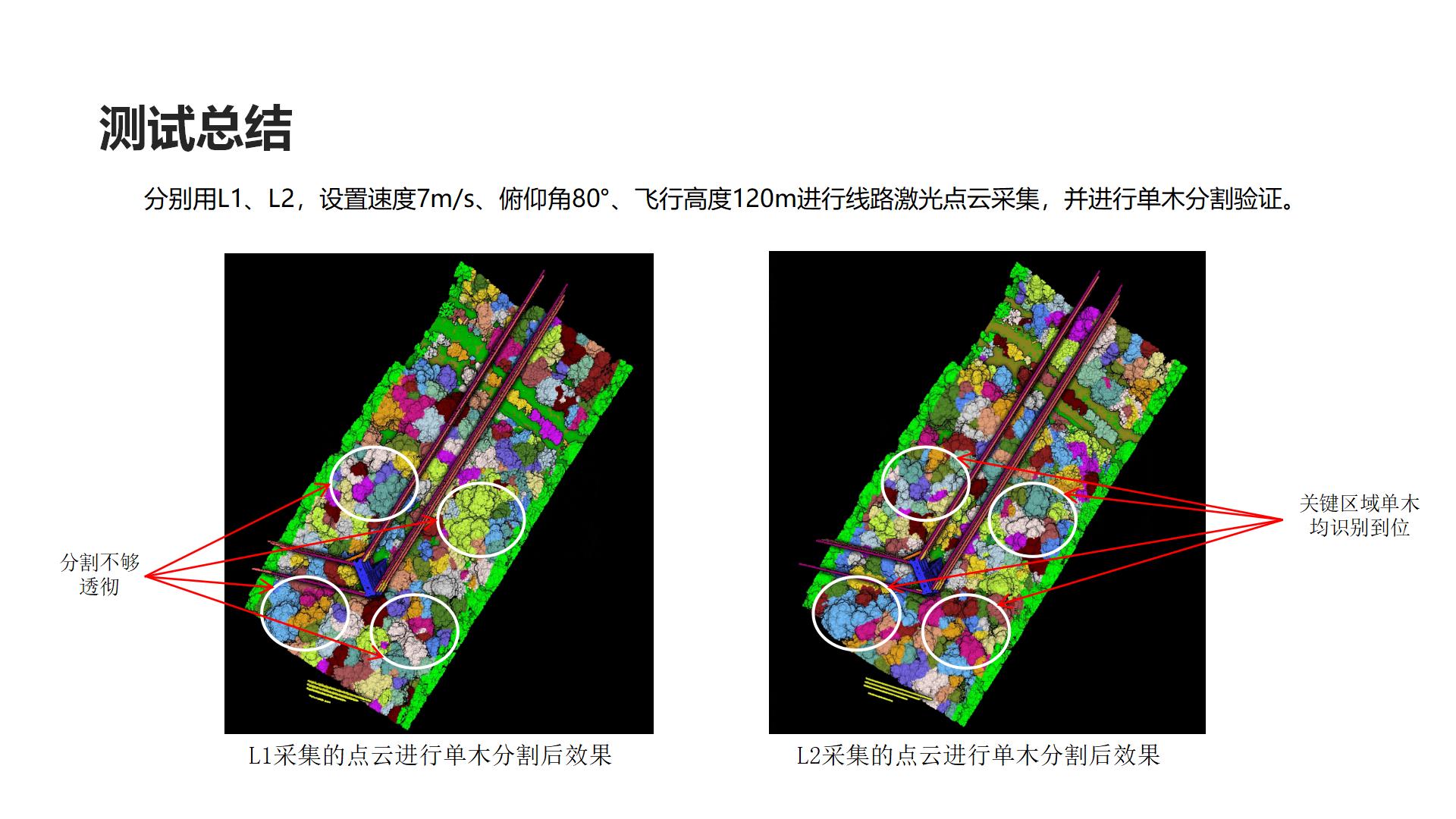 广州中科智云科技有限公司+云南+L2在单木分割的分析应用_05.jpg